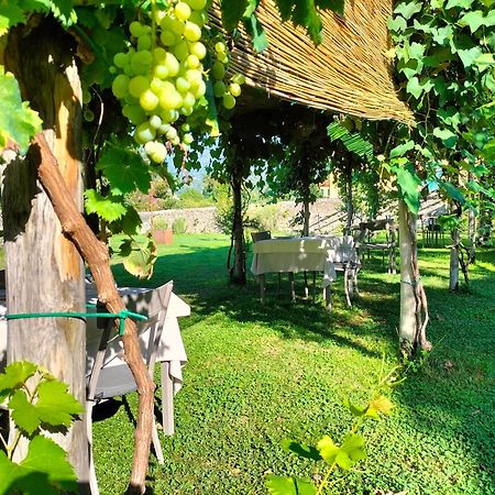 Badia Giulia Prestigious Historical B&B, Camaiore - Adults Only - No Pets Luaran gambar